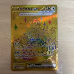 テラパゴスex ur