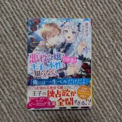 悪役令嬢 文学・小説