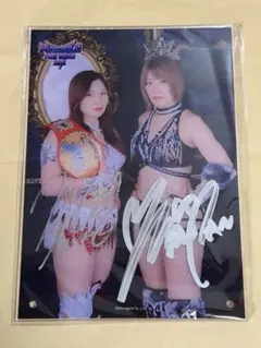 Item thumbnail for item e030e79f-ef34-4e27-8534-dce84de3abad