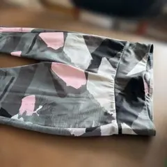 プーマジムスパッツ