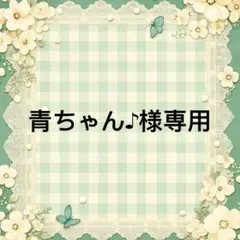 青ちゃん♪ 様　專用