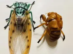 リアルBIGサイズフィギュア ミンミンゼミ 成虫抜け殻セット