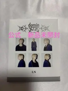 アイエン　インスタントフォトセット　stray kids domin ATE