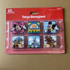 ディズニーランド 43rd Anniversary マグネットのサムネイル