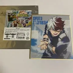 僕のヒーローアカデミア 轟焦凍