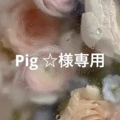 Pig ☆様専用