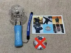 ぽみそしるペンライト セット