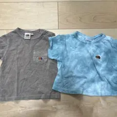 フルーツオブザルーム　半袖tシャツ 2枚セットのサムネイル