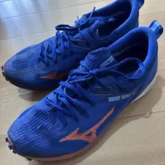 Mizuno ウェーブデュエル2 25.0cmのサムネイル