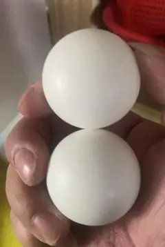 Item thumbnail for item 40106b40-c019-447f-be37-1cfdee131c56