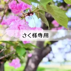 さく様専用