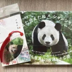 また会えたね！シャンシャン　毎日パンダのはるばる中国旅＆しおり