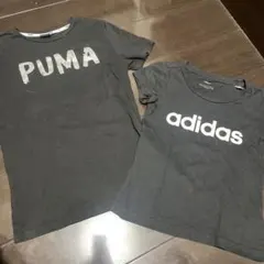 アディダス、プーマ　Tシャツ160