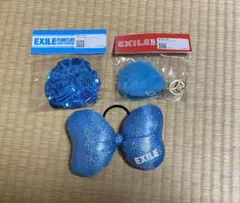 EXILE LIVE TOUR 2010 FANTASYのライブグッズセット！