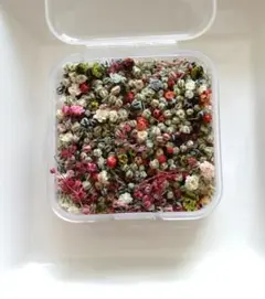 No,304☘️かすみ草のつぼみドライフラワー
