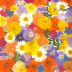 new♡作家様必見♡押し花MIXセット♡押し花セット