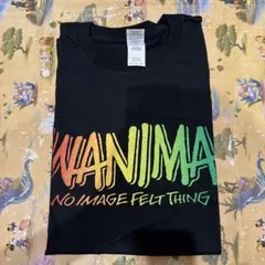 WANIMA Tシャツ ロングスリーブ 5枚セット WANIMA Tシャツ ロングスリーブ 5枚セット - メルカリ