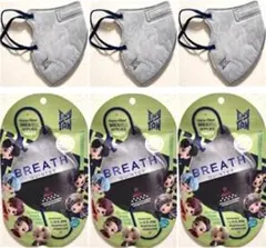 花粉ブロックTinyTAN BREATH QUINTET マスク２枚入３個セットのサムネイル