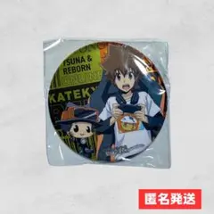 家庭教師ヒットマンREBORN! アニメイト特典 缶バッジ 沢田綱吉 リボーン