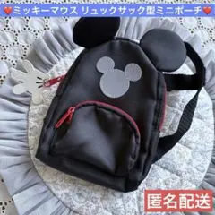 東京ディズニーリゾート限定 ミッキーマウス 耳つき リュックサック型ミニポーチ