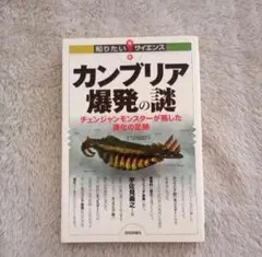 Item thumbnail for item 833bfb63-c2d0-46fb-a9d0-a2fda1ac1f2d