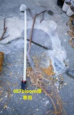 087bloom様 リクエスト 2点 まとめ商品