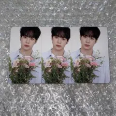 idntt テイン Objekt トレカ セット unevermet