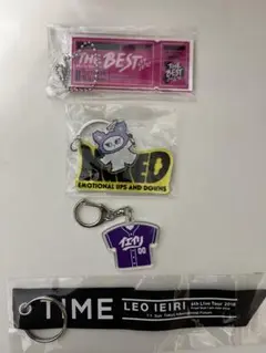 家入レオ　2014 キーホルダー 家入レオ「My name」リリース記念グッズ ミニジャケキーホルダー