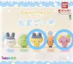 たまごっち カプセルフロッキーズ まめっち ふらわっち 2点セット