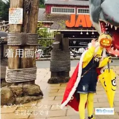 お値下げしました/ミニオン仮装一式