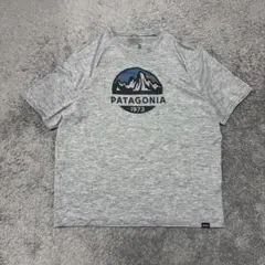 Patagonia キャプリーンクールデイリー Tシャツ L グレー