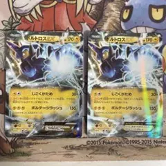 ひなたろす様 リクエスト 2点 まとめ商品