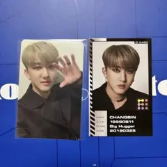 straykids チャンビン oddinary 封入 IDカード トレカ