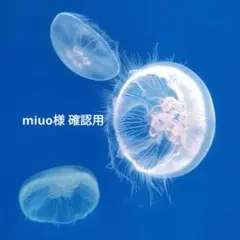 miou様 状態確認用