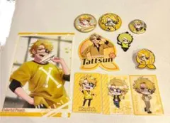 たっつんまとめ売り からぴち たっつん まとめ売り 最終値下げ - メルカリ