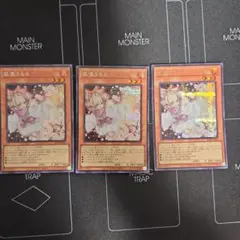 白虎@プロフ確認様 リクエスト 2点 まとめ商品