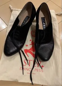 Item thumbnail for item 22238cf4-f351-4e90-bbfb-43cd1d5aca6e