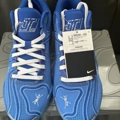 NIKE JA 2 EP FD7327-700 バスケットボールシューズ - メルカリ