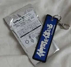 Item thumbnail for item 5f9811c3-6abc-40f2-a837-eef387c9019b