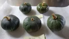 【ハロウィン飾りに】かぼちゃ　#メルカリでハロウィン
