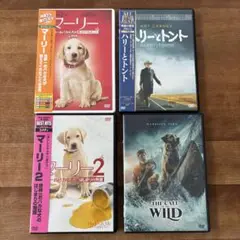 マリー・ハリーとトント・The Call of the Wild DVDセット