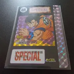 ドラゴンボールZ 19 孫悟空 SPECIALカードダス　海外製