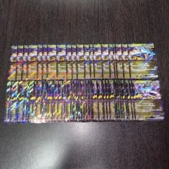 ポケカ タケルライコex 100枚 RR 1314