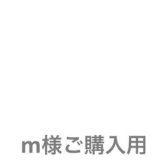 m様ご購入用【フィギュア3点おまとめ】