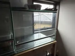 EHEIM レプタイルケージRC-6045(60×45×45cm) 植物 アグラ - メルカリ