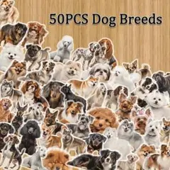 ココナッツ様 リクエスト 3点 まとめ商品