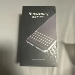 BlackBerry Q5 2台セット 箱付あり 動作未確認 BlackBerry Q5 2台セット 箱付あり 動作未確認 - メルカリ