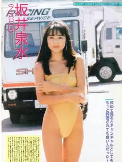 期間限定値下げ【秘蔵】ZARD　坂井泉水　厳選切り抜き　/ お宝水着
