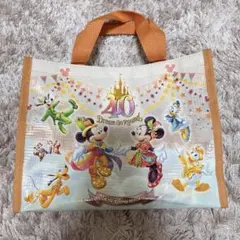 ディズニー　40周年　バッグ