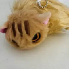なつかない猫 ぬいぐるみ 八百屋さんの猫